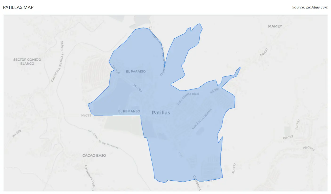 Patillas Map