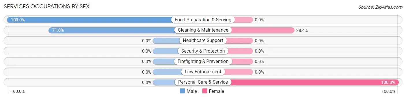 Services Occupations by Sex in Playa Fortuna