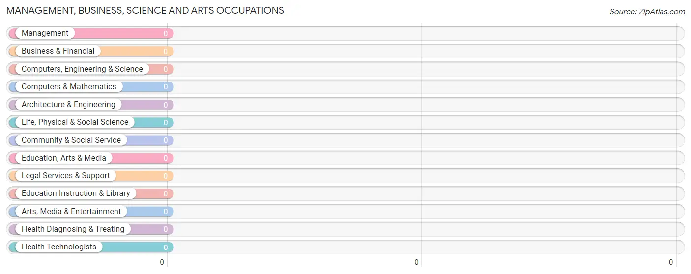 Management, Business, Science and Arts Occupations in Playita Cortada