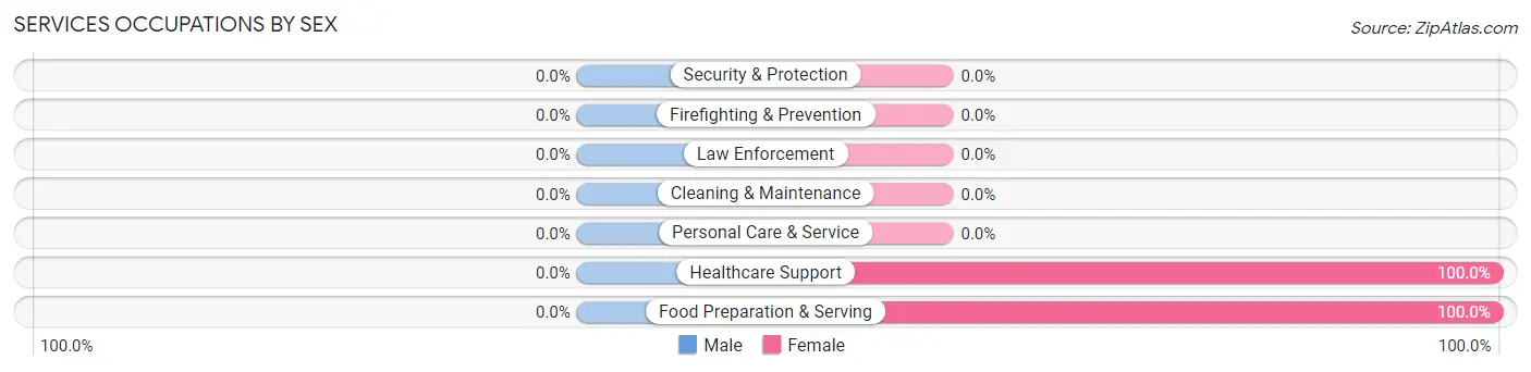 Services Occupations by Sex in Pueblito del Rio