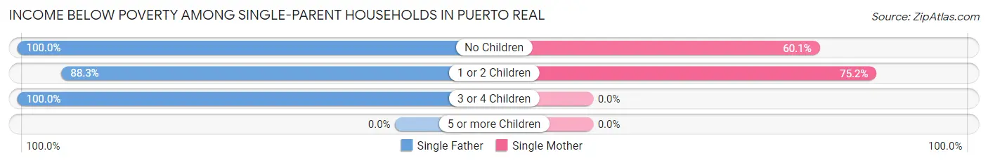 Income Below Poverty Among Single-Parent Households in Puerto Real