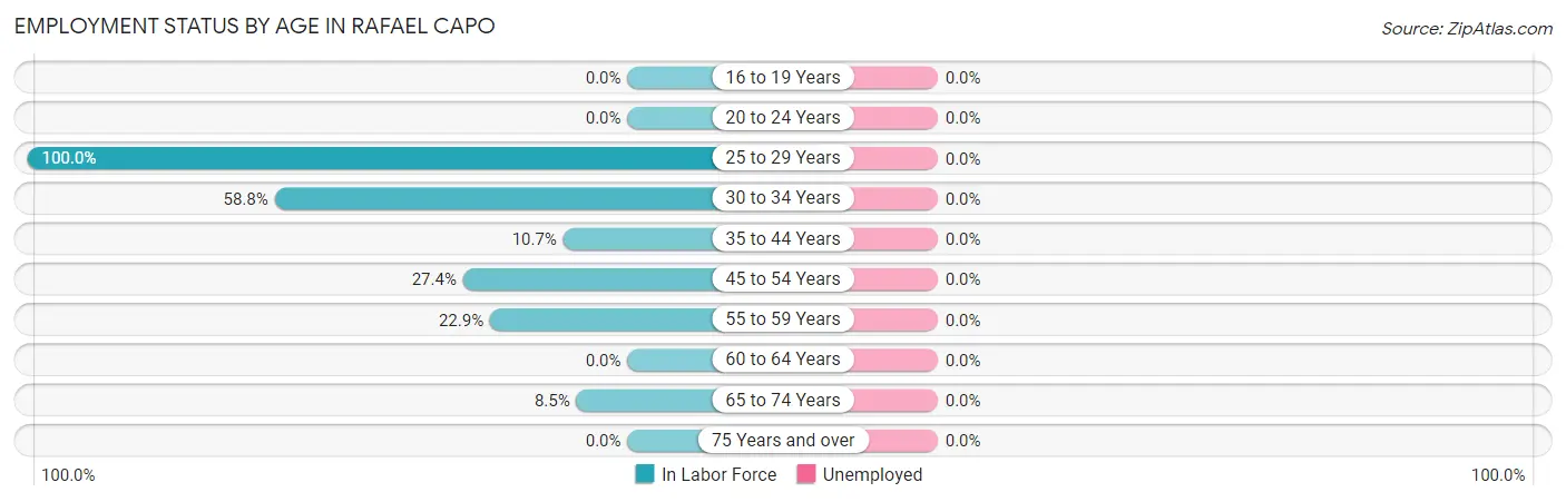 Employment Status by Age in Rafael Capo