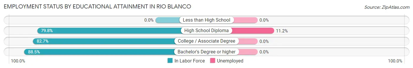 Employment Status by Educational Attainment in Rio Blanco