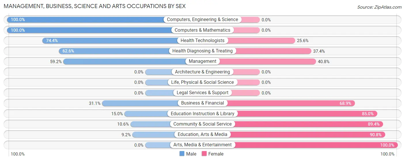 Management, Business, Science and Arts Occupations by Sex in Rio Grande