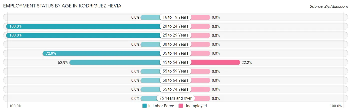 Employment Status by Age in Rodriguez Hevia