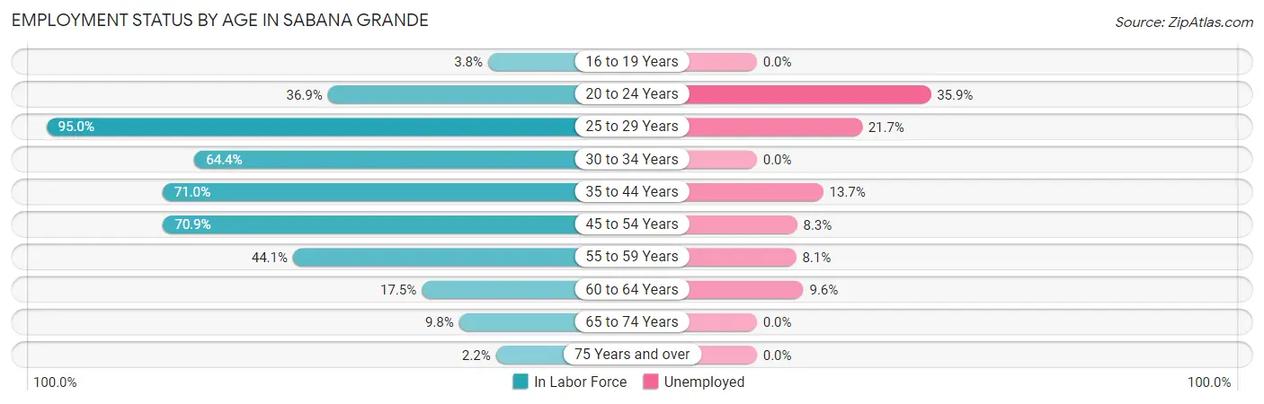 Employment Status by Age in Sabana Grande