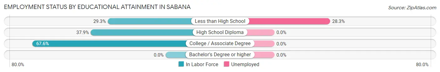Employment Status by Educational Attainment in Sabana
