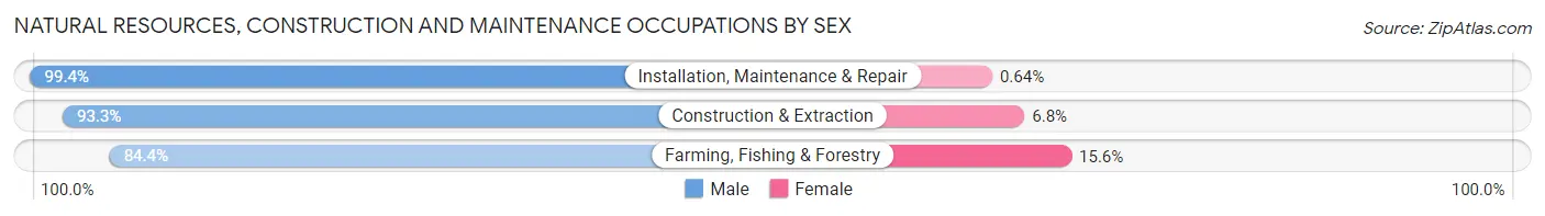 Natural Resources, Construction and Maintenance Occupations by Sex in San Juan