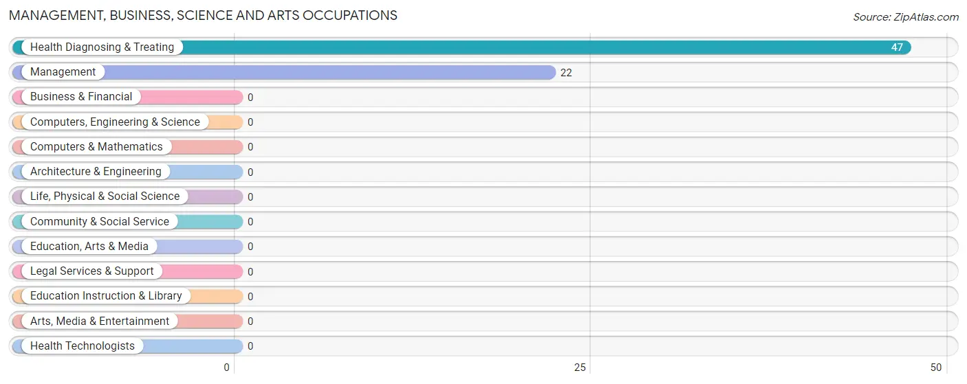 Management, Business, Science and Arts Occupations in Santo Domingo