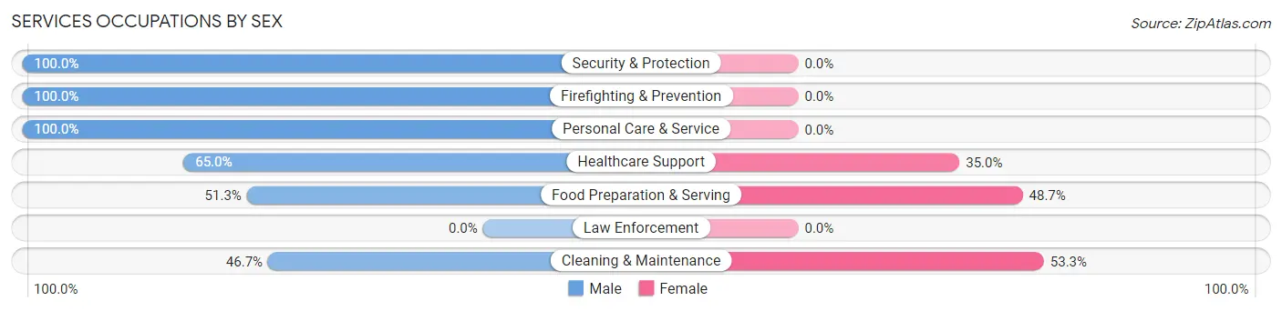 Services Occupations by Sex in Toa Baja