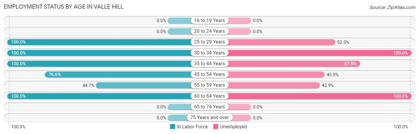 Employment Status by Age in Valle Hill