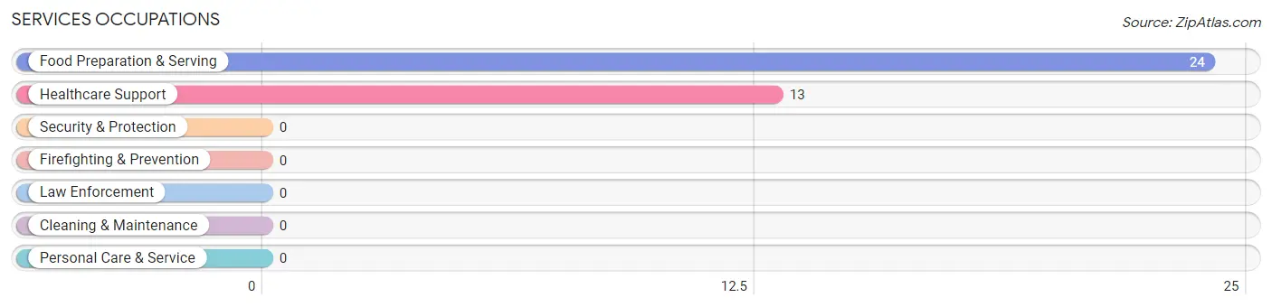 Services Occupations in Villa Hugo I