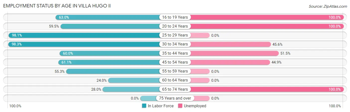 Employment Status by Age in Villa Hugo II