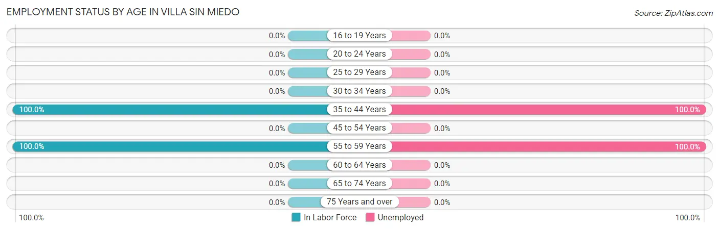Employment Status by Age in Villa Sin Miedo