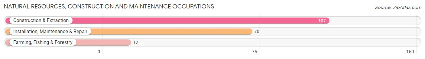 Natural Resources, Construction and Maintenance Occupations in Yauco