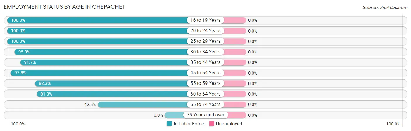 Employment Status by Age in Chepachet