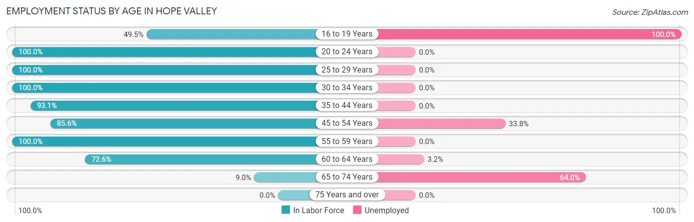 Employment Status by Age in Hope Valley