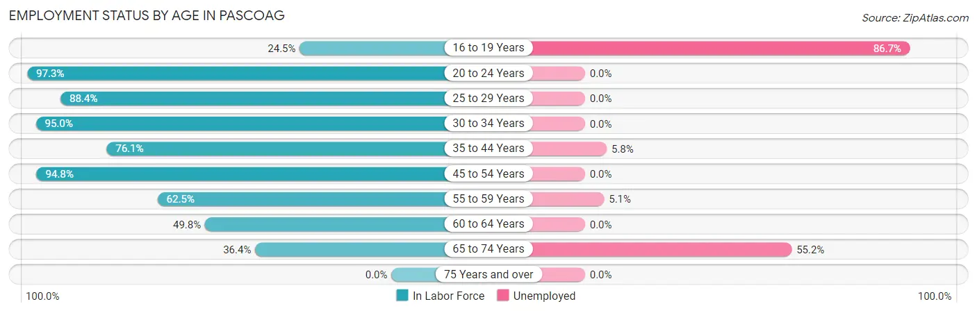 Employment Status by Age in Pascoag