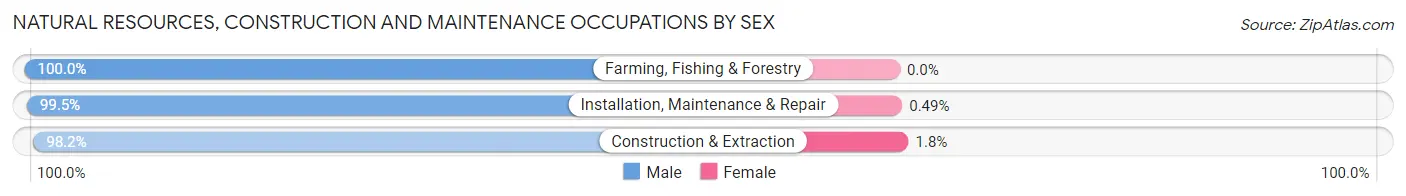 Natural Resources, Construction and Maintenance Occupations by Sex in Pawtucket