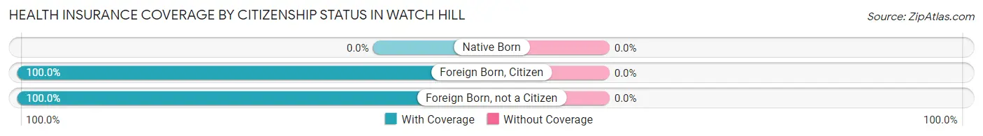 Health Insurance Coverage by Citizenship Status in Watch Hill