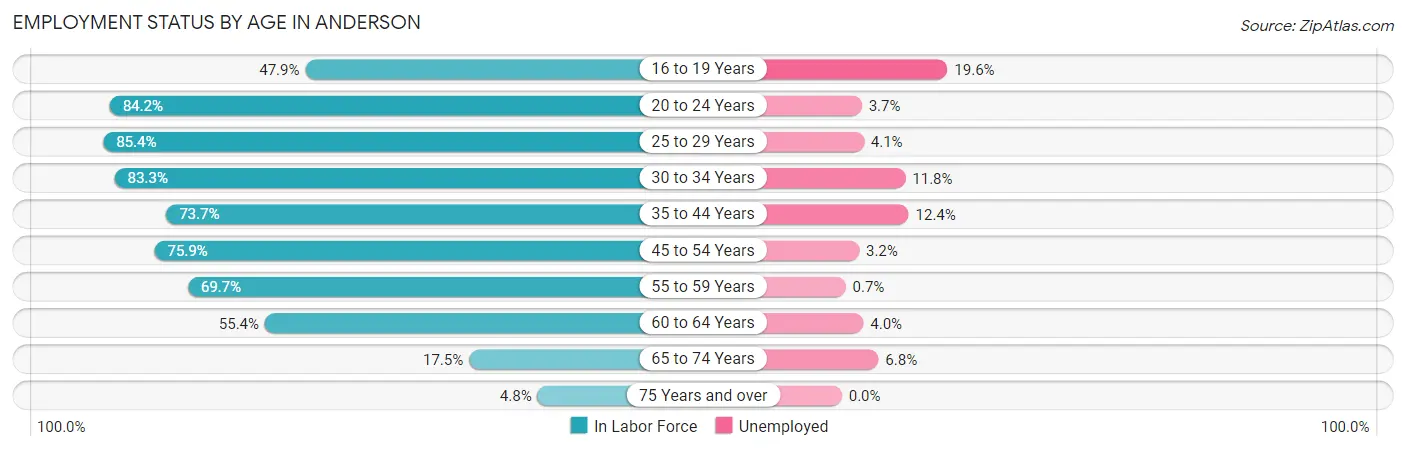Employment Status by Age in Anderson