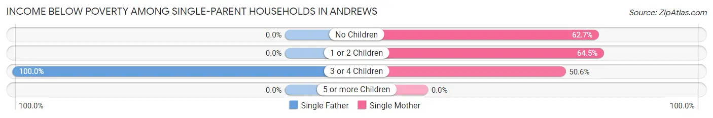 Income Below Poverty Among Single-Parent Households in Andrews