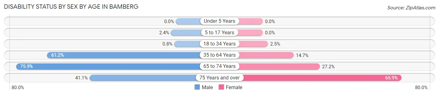 Disability Status by Sex by Age in Bamberg