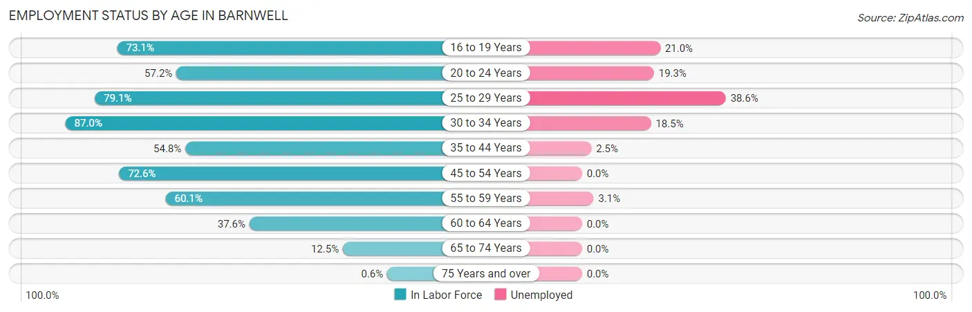 Employment Status by Age in Barnwell
