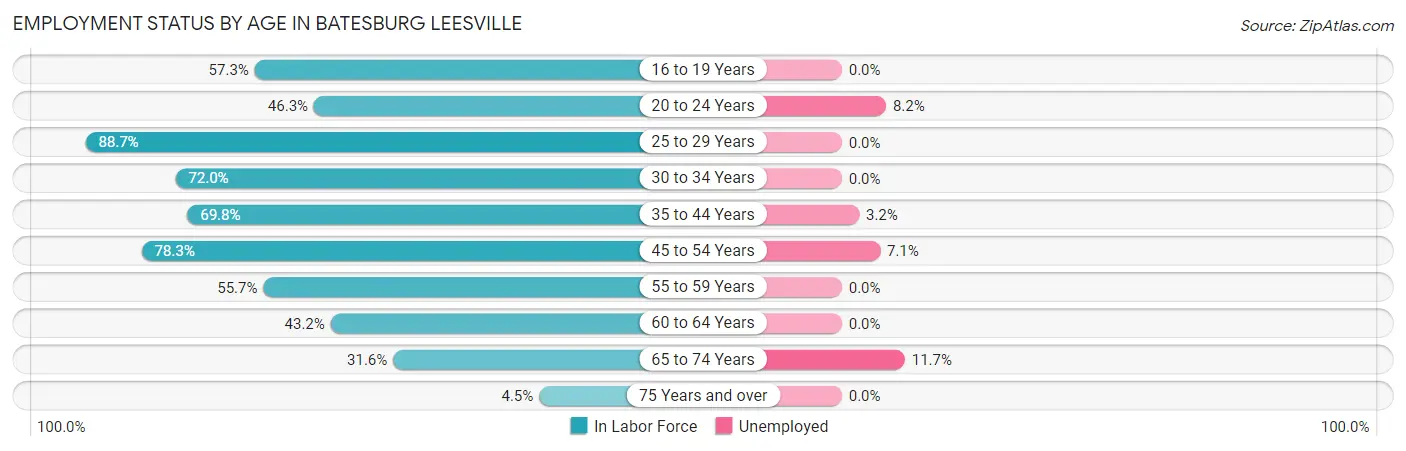 Employment Status by Age in Batesburg Leesville