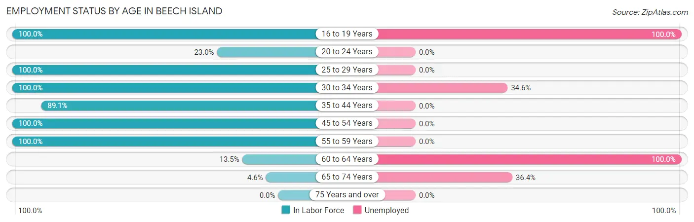 Employment Status by Age in Beech Island