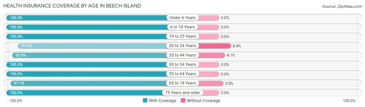 Health Insurance Coverage by Age in Beech Island