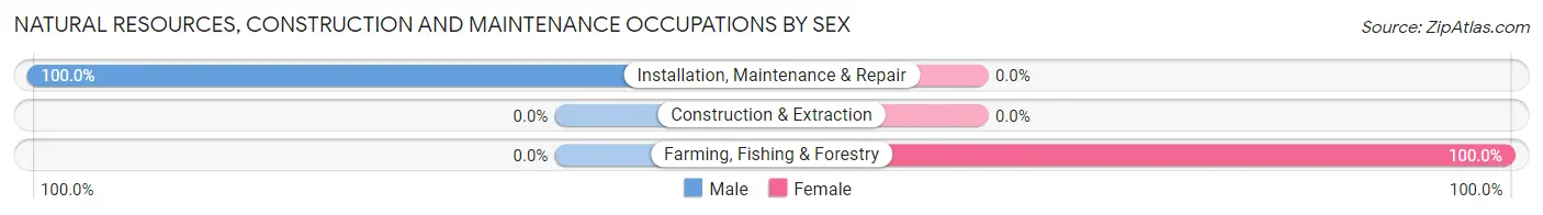 Natural Resources, Construction and Maintenance Occupations by Sex in Beech Island