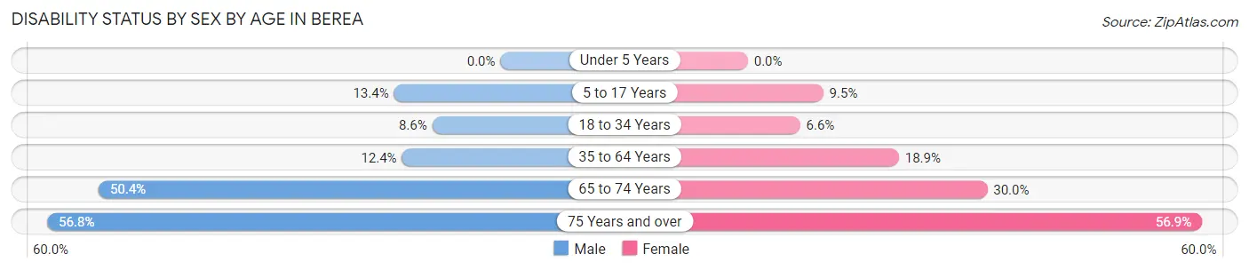 Disability Status by Sex by Age in Berea