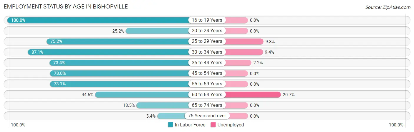 Employment Status by Age in Bishopville