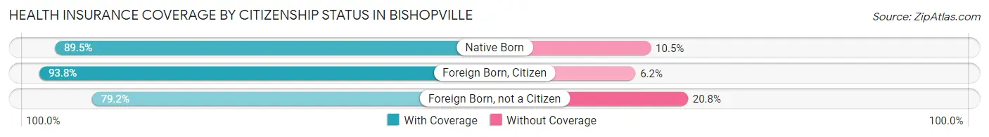Health Insurance Coverage by Citizenship Status in Bishopville