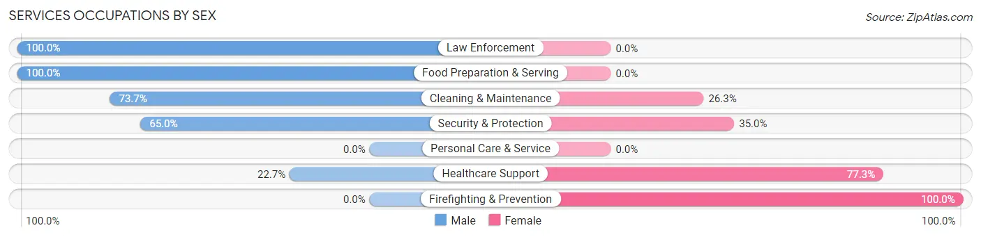 Services Occupations by Sex in Bishopville