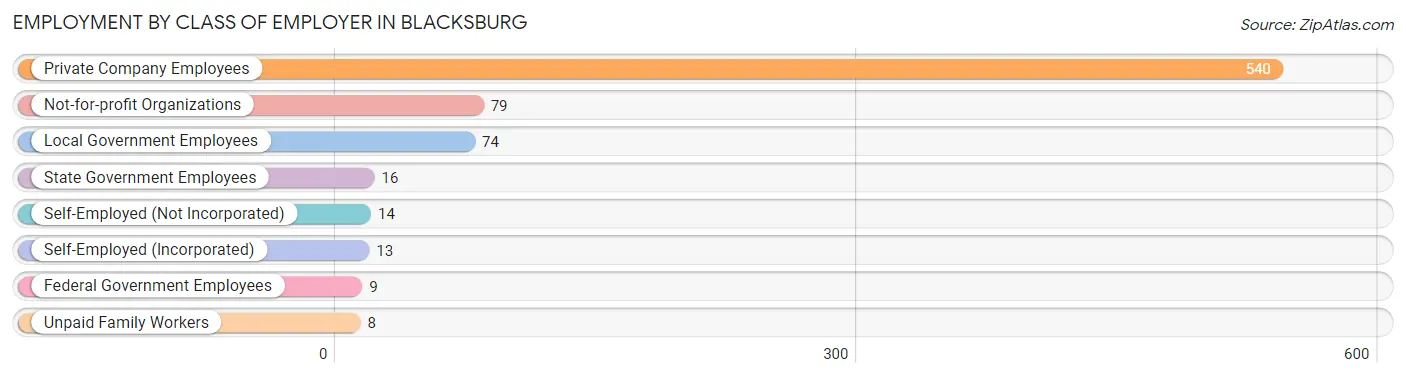 Employment by Class of Employer in Blacksburg