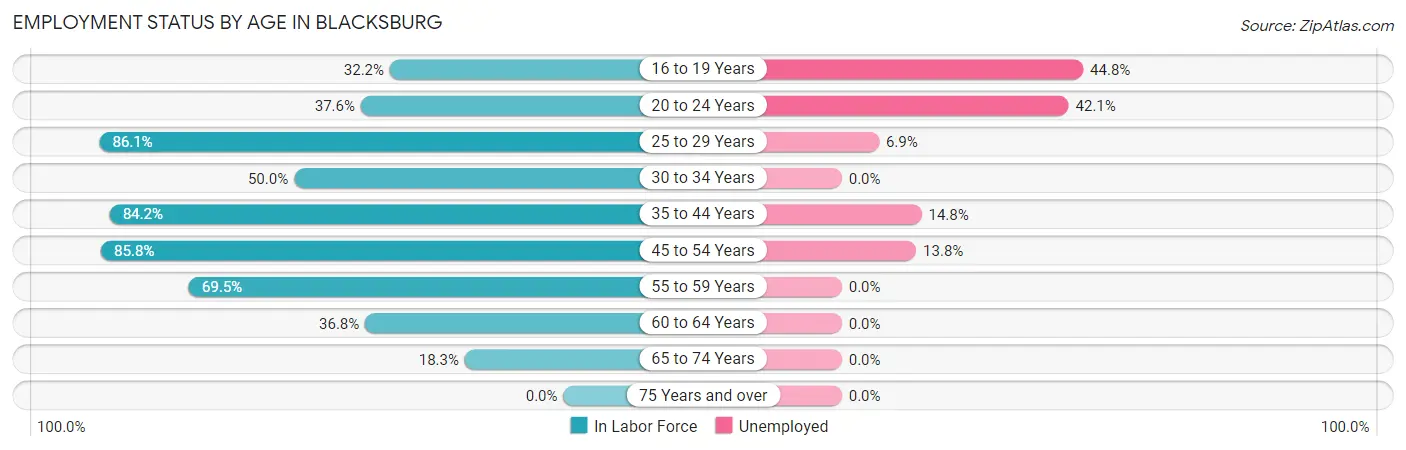 Employment Status by Age in Blacksburg
