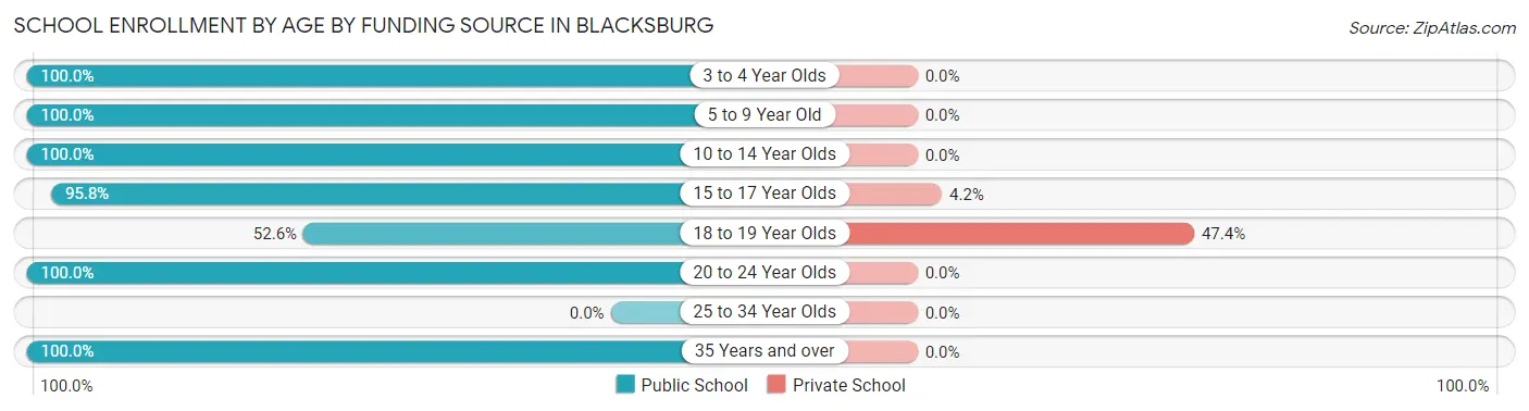 School Enrollment by Age by Funding Source in Blacksburg