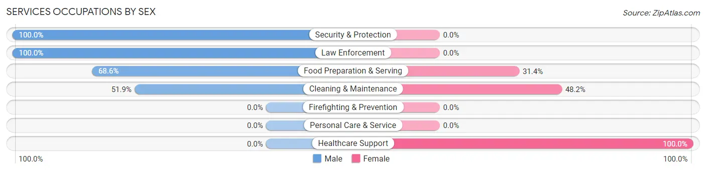 Services Occupations by Sex in Blacksburg