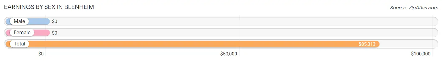 Earnings by Sex in Blenheim