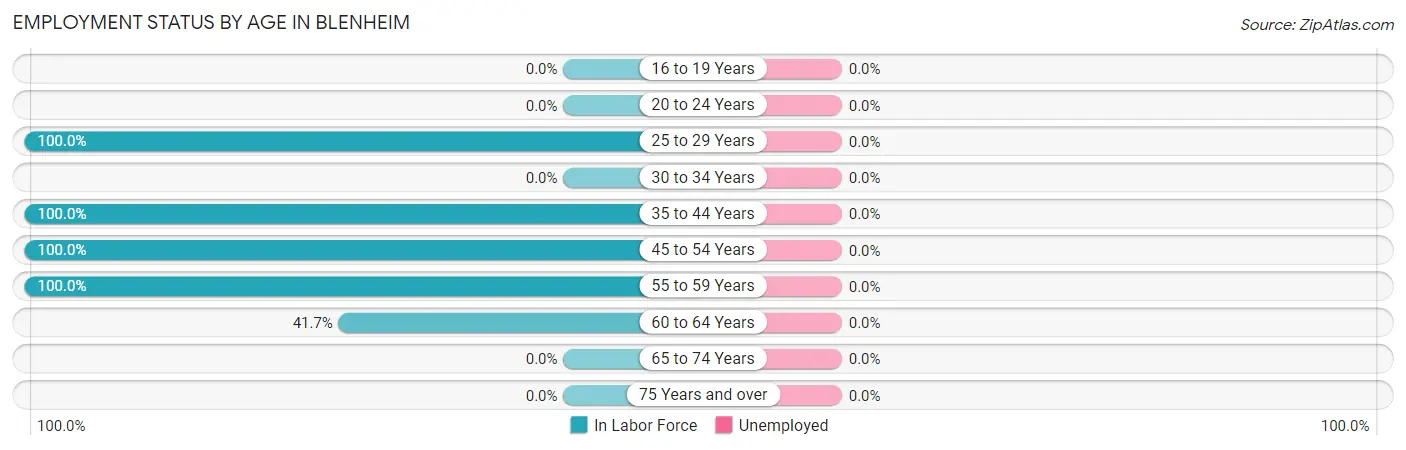 Employment Status by Age in Blenheim