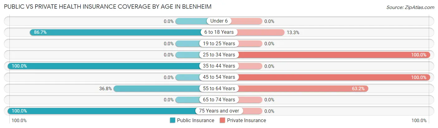 Public vs Private Health Insurance Coverage by Age in Blenheim