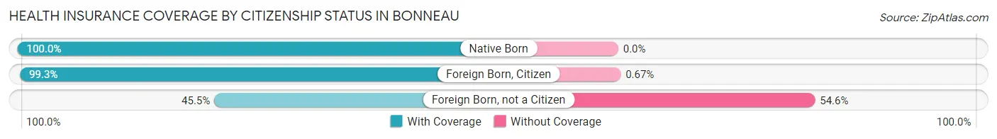 Health Insurance Coverage by Citizenship Status in Bonneau