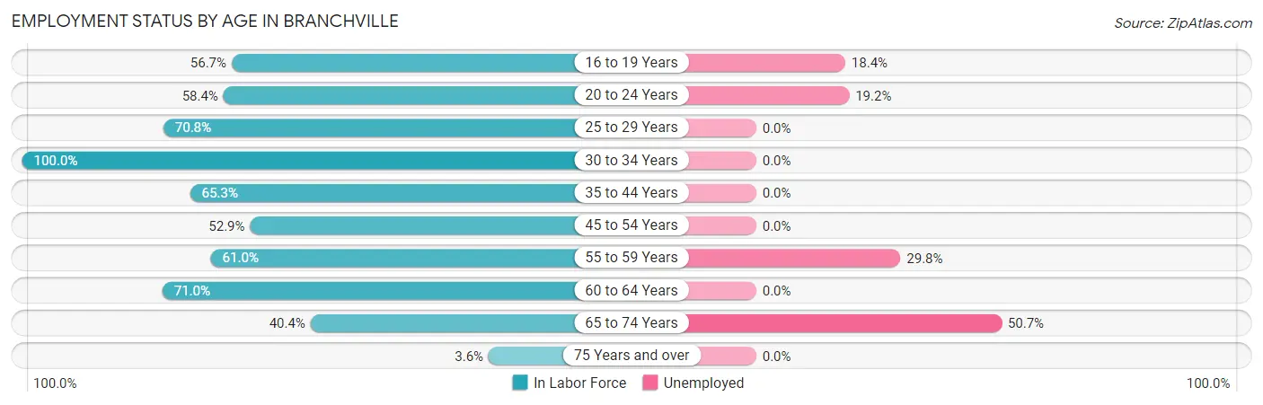 Employment Status by Age in Branchville