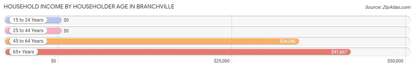 Household Income by Householder Age in Branchville