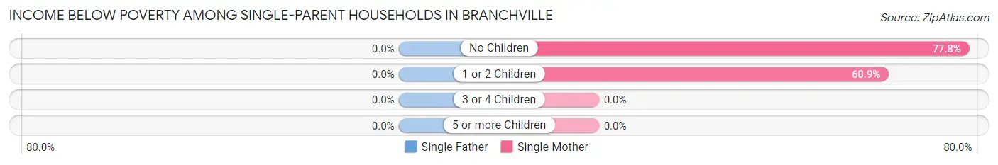 Income Below Poverty Among Single-Parent Households in Branchville