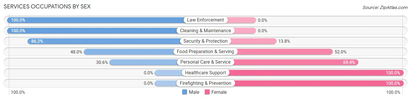 Services Occupations by Sex in Burton