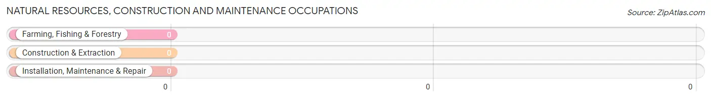 Natural Resources, Construction and Maintenance Occupations in Caesars Head