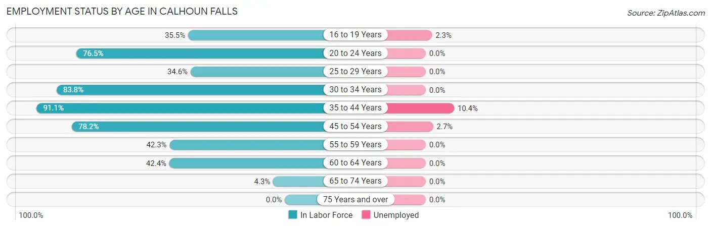 Employment Status by Age in Calhoun Falls